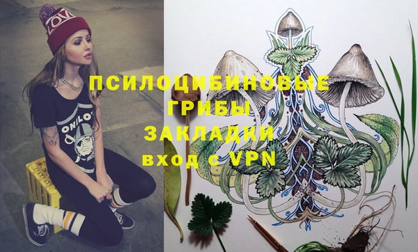 ГАЛЛЮЦИНОГЕННЫЕ ГРИБЫ Абаза