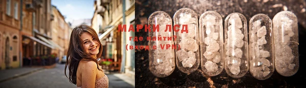 ГАЛЛЮЦИНОГЕННЫЕ ГРИБЫ Абаза