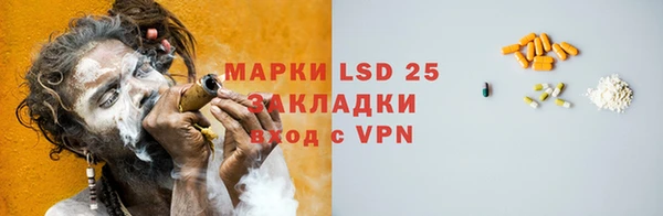 ГАЛЛЮЦИНОГЕННЫЕ ГРИБЫ Абаза