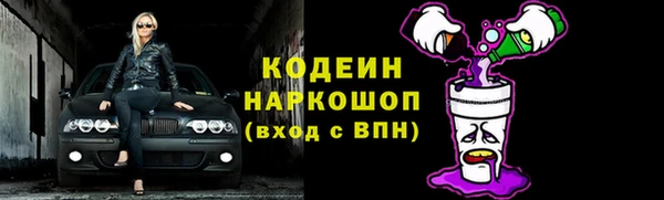 ГАЛЛЮЦИНОГЕННЫЕ ГРИБЫ Абаза