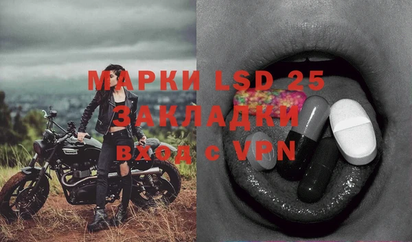 ГАЛЛЮЦИНОГЕННЫЕ ГРИБЫ Абаза
