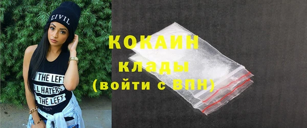ГАЛЛЮЦИНОГЕННЫЕ ГРИБЫ Абаза