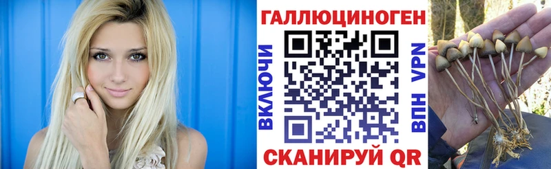Галлюциногенные грибы Psilocybine cubensis  Стерлитамак 