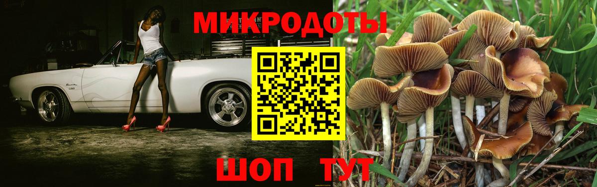 Псилоцибиновые грибы Magic Shrooms  Вход с VPN  Стерлитамак 
