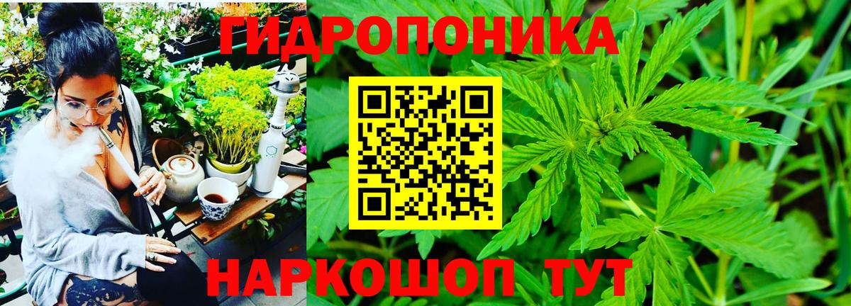 Канабис план  Бошки марихуана сатива  Стерлитамак  Бошки марихуана тримм  Вход с VPN  Конопля марихуана 